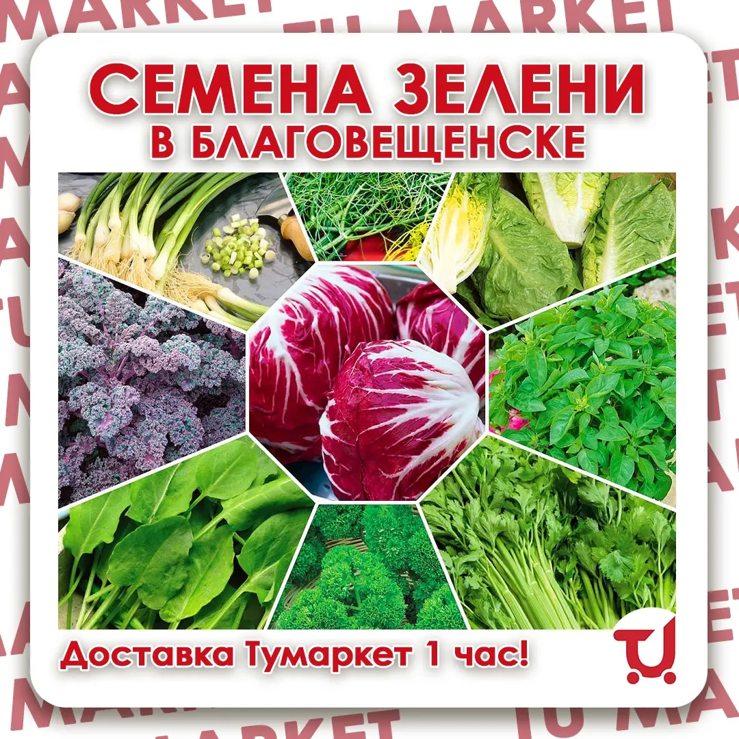 СЕМЕНА ЗЕЛЕНИ В БЛАГОВЕЩЕНСКЕ