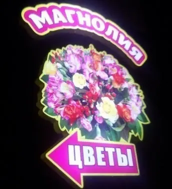 Магнолия